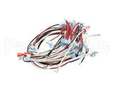 W8075-SSA Nemco Wireset, 75 Capacity W/Readout