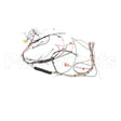 WC-13315 Compatible Curtis Harnessassembly, Control 120/220V