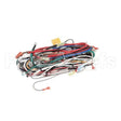 WC-13335 Compatible Curtis Harnessassembly, Complete Tp2T10