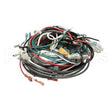 WC-13353 Compatible Curtis Harnessassembly, Complete Cafepc1