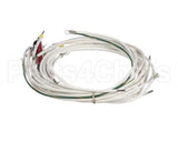 WH0031 Bki Wire Harness, Power 3 Ph Delt
