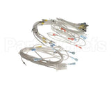 WH0167 Bki Wiring Harness, Control Plate