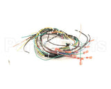 WHKGT-2 Cleveland Harness; Kgt