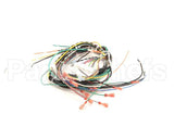 WHKGT-2 Cleveland Harness; Kgt