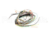WHKGT-2 Cleveland Harness; Kgt