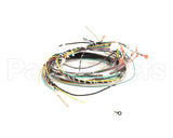 WHKGT-2 Cleveland Harness; Kgt