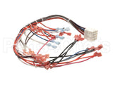WHT300951 Cleveland Control Panel Harness; 22C Et3.1Mcs,208/