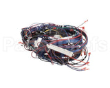 WIR02346 Trane Wire Harness Control Panel-80467