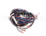 WIR02346 Trane Wire Harness Control Panel-80467