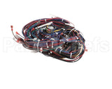 WIR02346 Trane Wire Harness Control Panel-80467