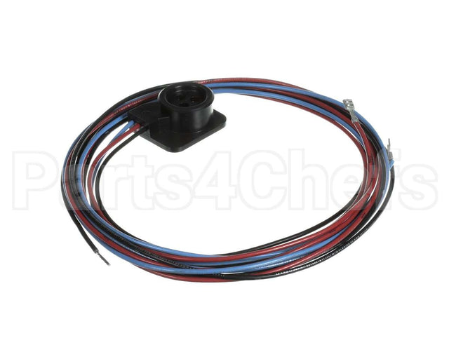 WIR03351 Trane Wire, Scroll Compressor Wiring, Ckt 2