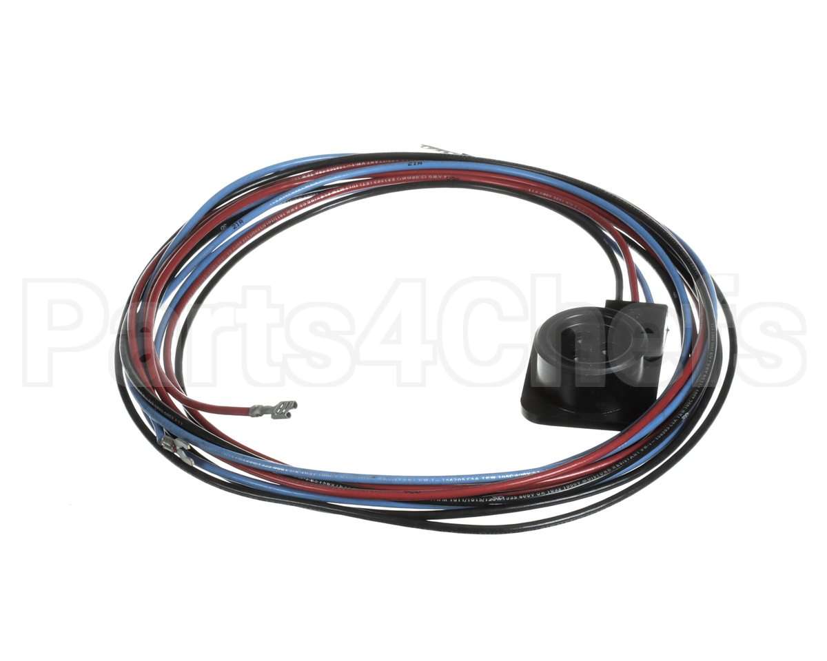 WIR03351 Trane Wire, Scroll Compressor Wiring, Ckt 2