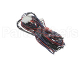 WIR03419 Trane Wire, Harness, Options - Comm-J2 To Rtom