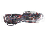 WIR03419 Trane Wire, Harness, Options - Comm-J2 To Rtom