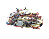 WIR04138 Trane Wire; Harness-Upflow 2 Stage