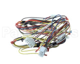 WIR04138 Trane Wire; Harness-Upflow 2 Stage