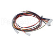 WIR07598 Trane Wire; Harness, 9 Pin To J4 On Dfc