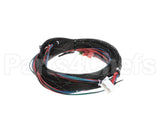 WIR07692 Trane Wire; Harness, Xover Bcxd