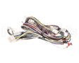 WIR09914 Trane Wire; Harness, Power & Controls