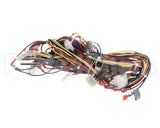 WIR10014 Trane Wire, Harness, Controls - Rtrm Common -