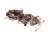 WIR10014 Trane Wire, Harness, Controls - Rtrm Common -