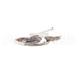 WIREHARNESS Royal Range Complete Wiring Harness