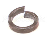 WL-003-35 Hobart Lockwasher