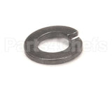 WL-003-36 Hobart Lockwasher