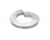 WL-003-39 Hobart Lockwasher