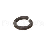 WL-006-06 Hobart Lockwasher