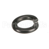 WL-006-44 Hobart Lockwasher