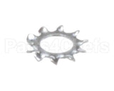 WL-007-12 Hobart Lockwasher