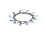 WL-007-20 Hobart Lockwasher