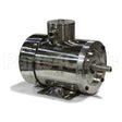 WP0024C Teco Motor