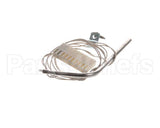 WR50091 Cleveland Probe; Thermistor