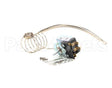 WS-50290 Wells Thermo Hw10 3Ft Capillary