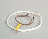 WS-63927 Wells Probe T-Couple 208/240V