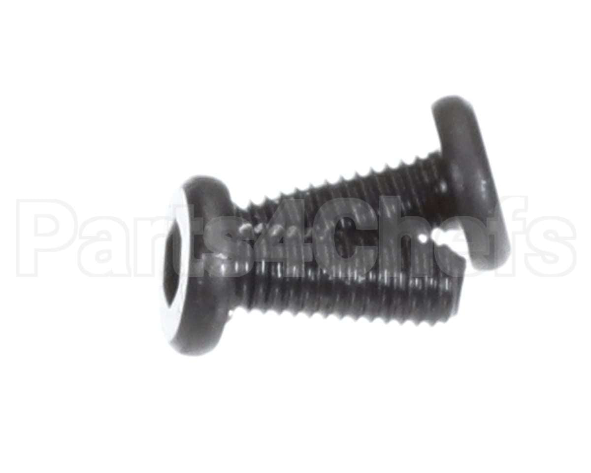 X00556 Globe Motor Mounting Screw