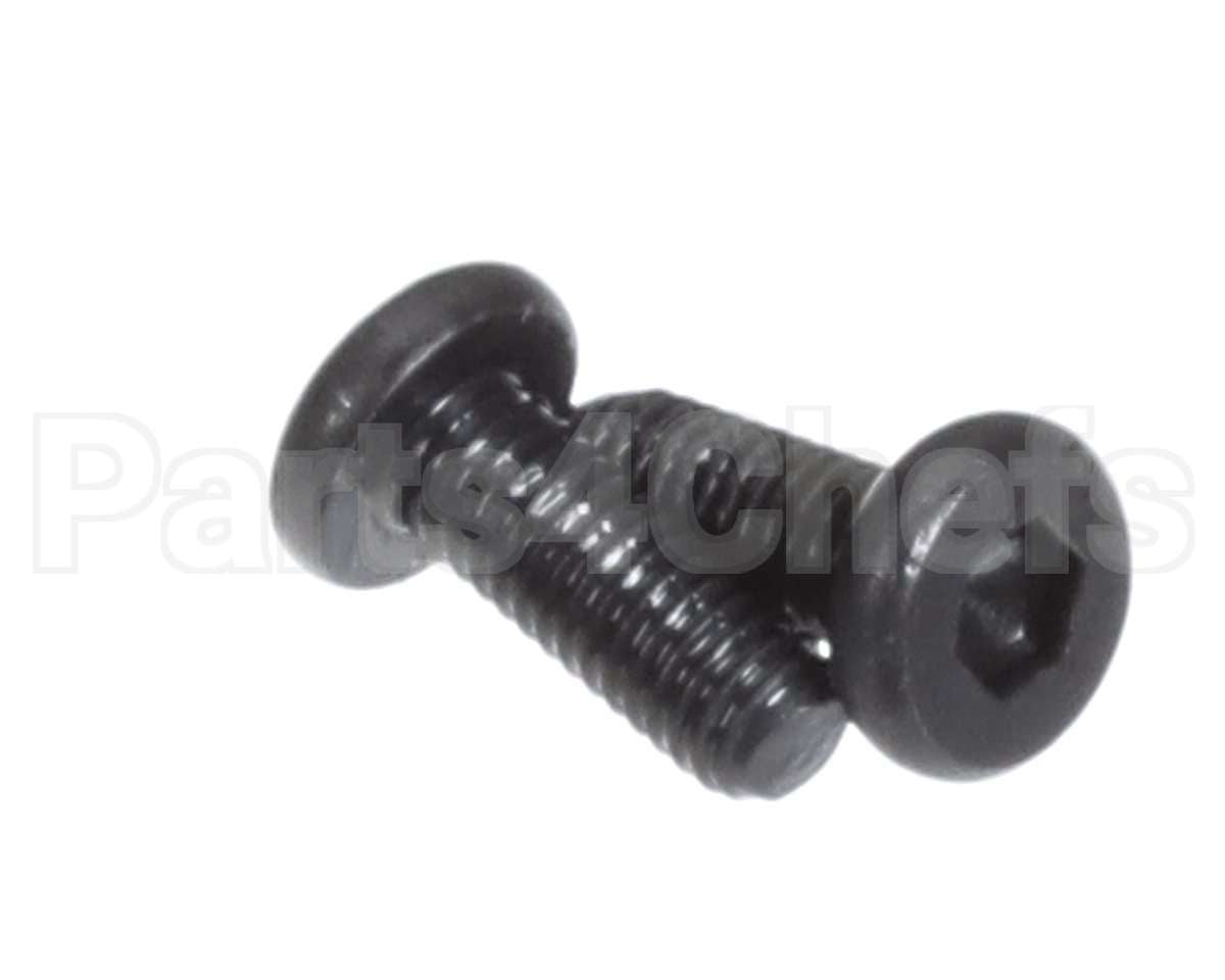 X00556 Globe Motor Mounting Screw
