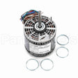 X017 Marathon Direct Drive Blower Motor