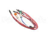 X02.30.173.00 Hatco Indicator Lamp Set,Mcg
