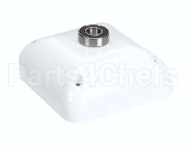 X08058-64 Globe Rear Cover Assembly