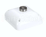 X08058-64 Globe Rear Cover Assembly