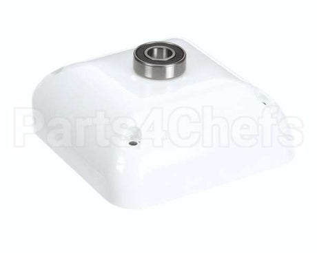 X08058-64 Globe Rear Cover Assembly