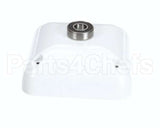 X08058-64 Globe Rear Cover Assembly