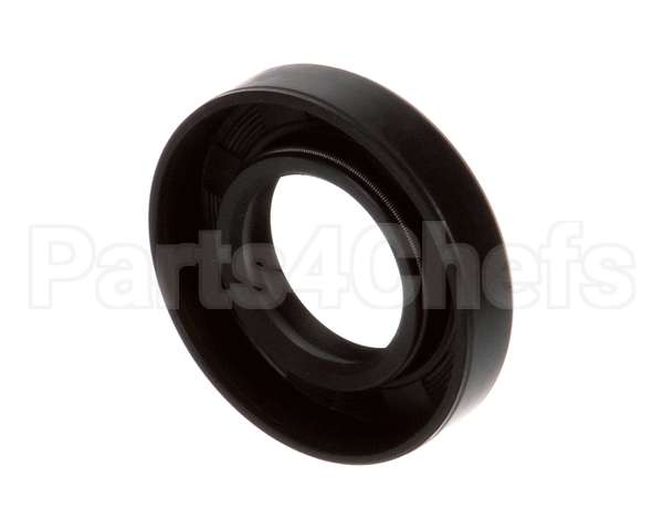 X10013 Globe Oil Seal