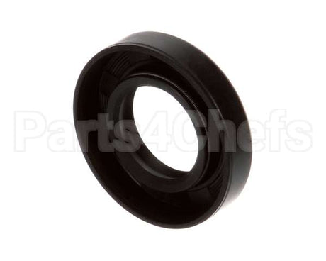 X10013 Globe Oil Seal