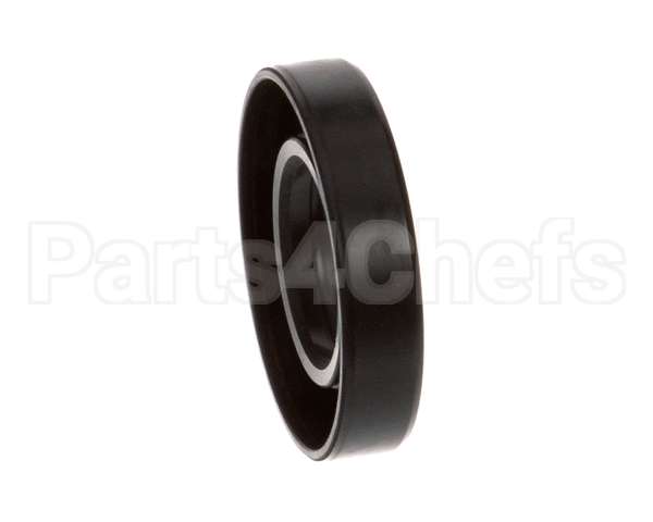 X10013 Globe Oil Seal