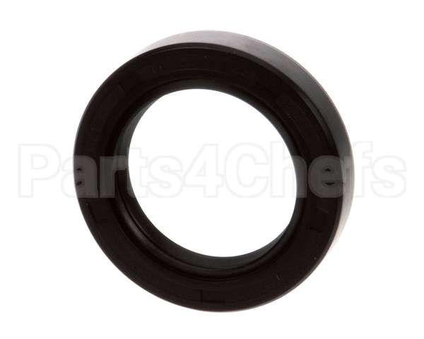 X10105 Globe Oil Seal