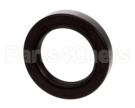X10105 Globe Oil Seal